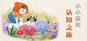 小小孩的認(rèn)知之旅