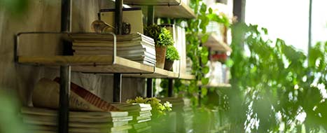 兒童閱讀解決方案